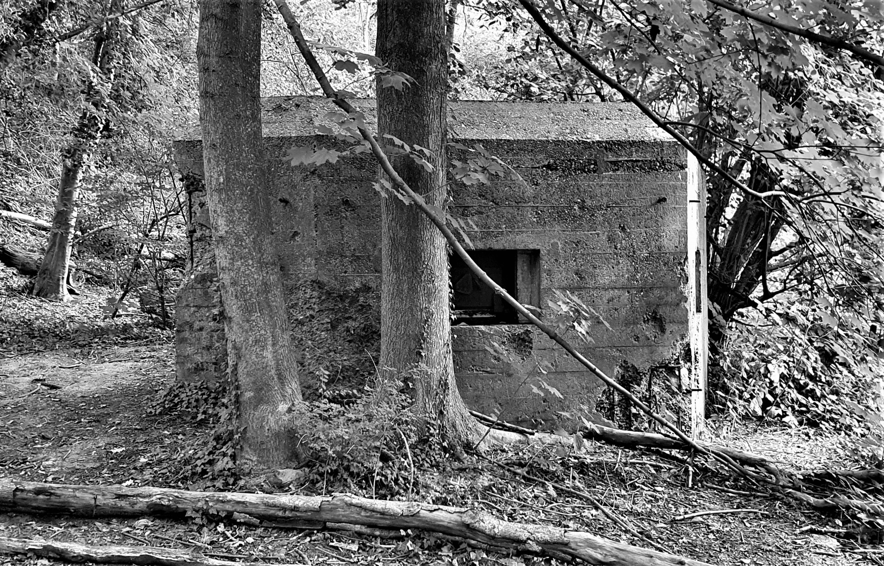 Nederlandse bunker aan de voet van de Grebbeberg (foto: Paul Westmeijer)